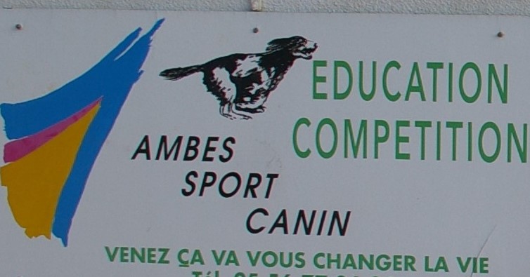 AMBES SPORT CANIN